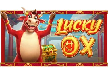 marettoto login live card games studios showing blackjack, baccarat, and Dragon Tiger tables with HD camera feeds